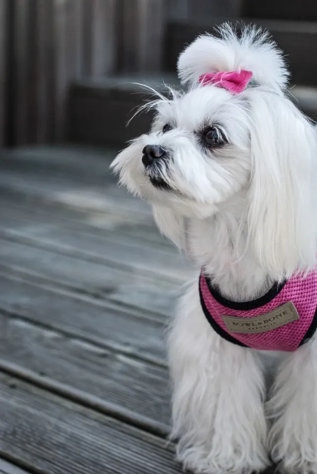 Bowl and Bone Candy Pink Dog Harness