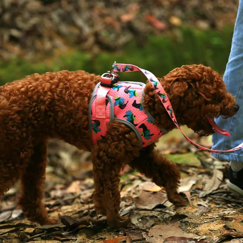 Dog Harness Fabric Print No Pull Choke Free Pet Harness for Small Medium Dogs Breathable Mesh Harness Vest for Bulldog Chihuahua