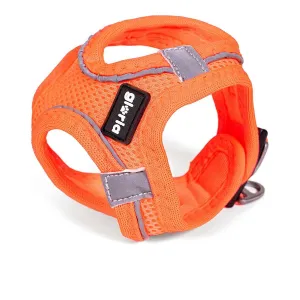 Dog Harness Gloria Air Mesh Trek Star Adjustable Orange Size Xxxs 18-20 Cm