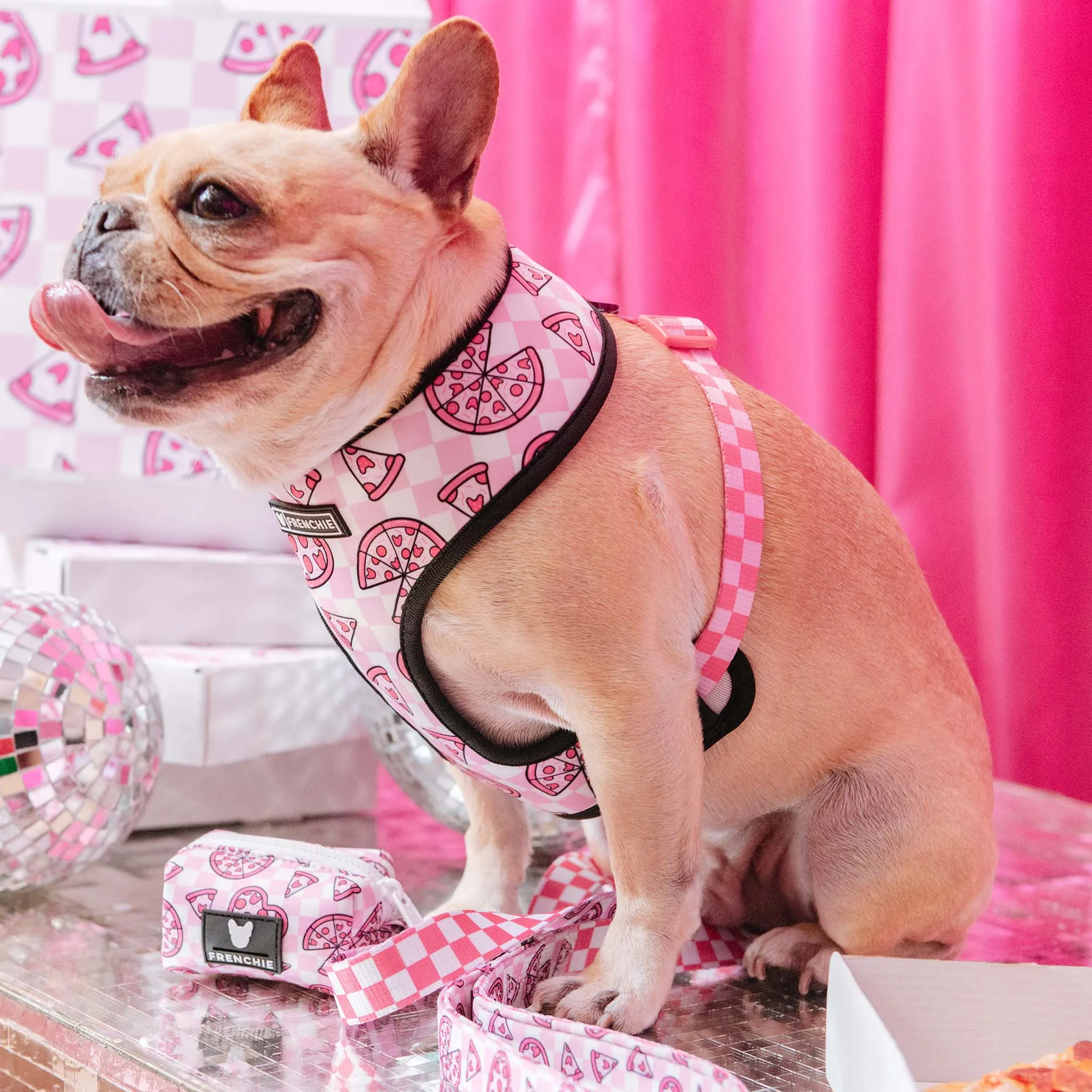 Frenchie Duo Reversible Harness - Pink Pizza