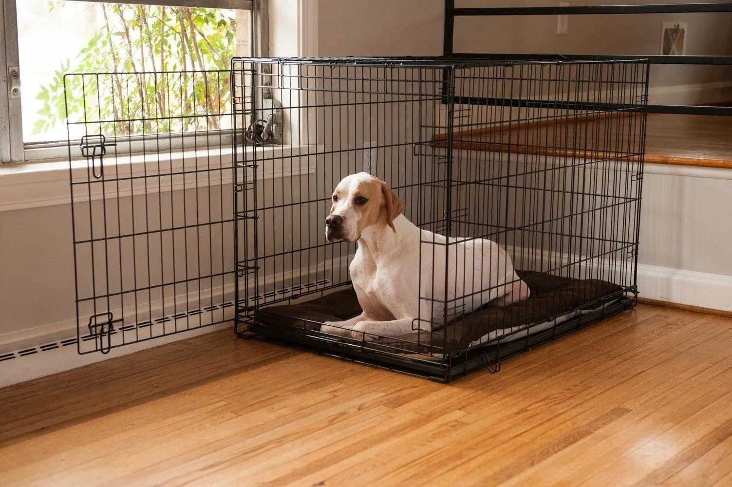 Heating and Cooling Crate Pad
