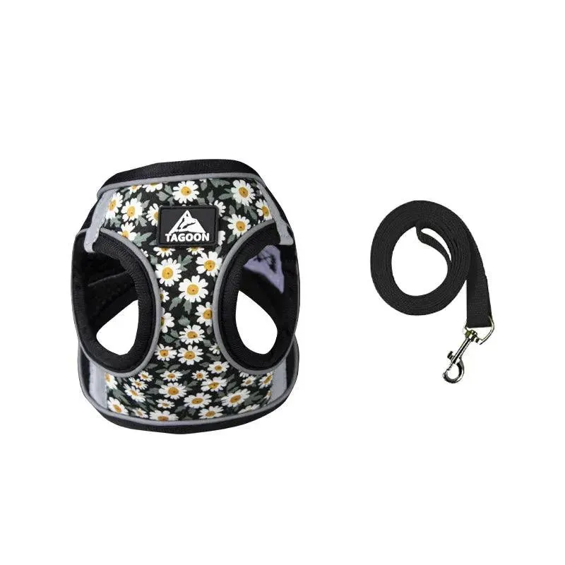 Nylon Mesh Cat and Dog Harness and Leash
