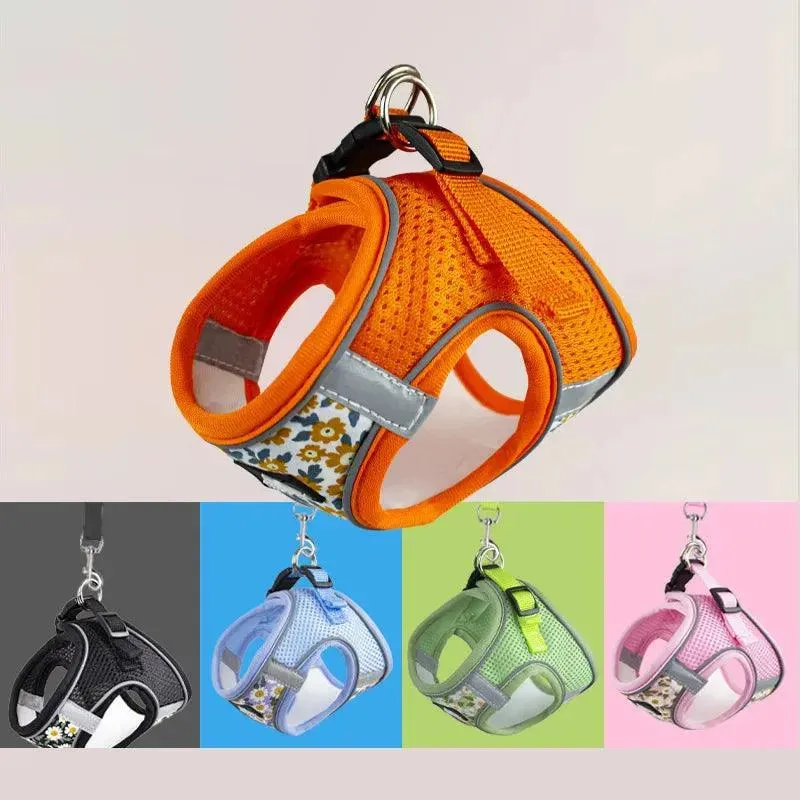 Nylon Mesh Cat and Dog Harness and Leash