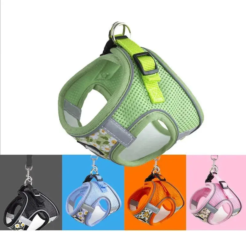 Nylon Mesh Cat and Dog Harness and Leash