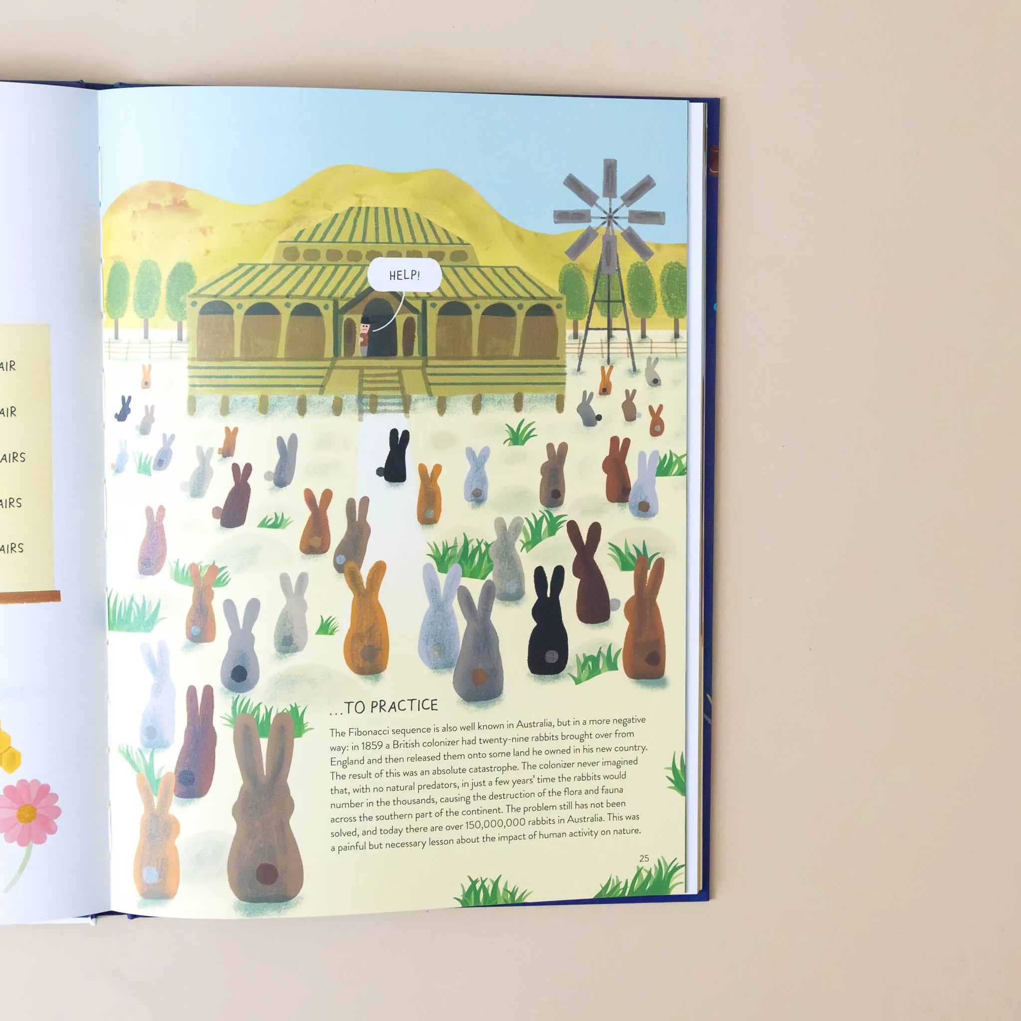 Rabbitology | The Ultimate Encyclopedia