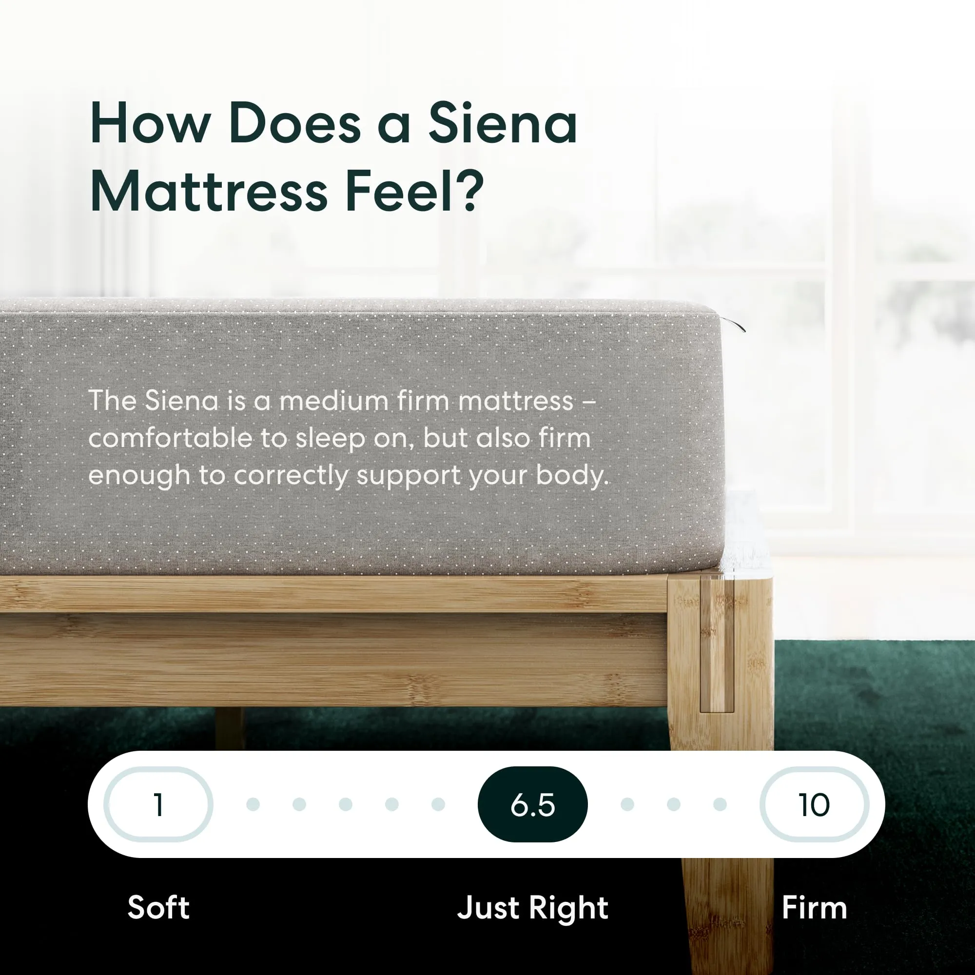 Siena 8 Twin Mattress - Gel Memory Foam - Medium Firm - 180 Night Trial - Premium Pressure-Relieving Layers - 10 Year Manufacturer Warranty - CertiPUR-US Certified