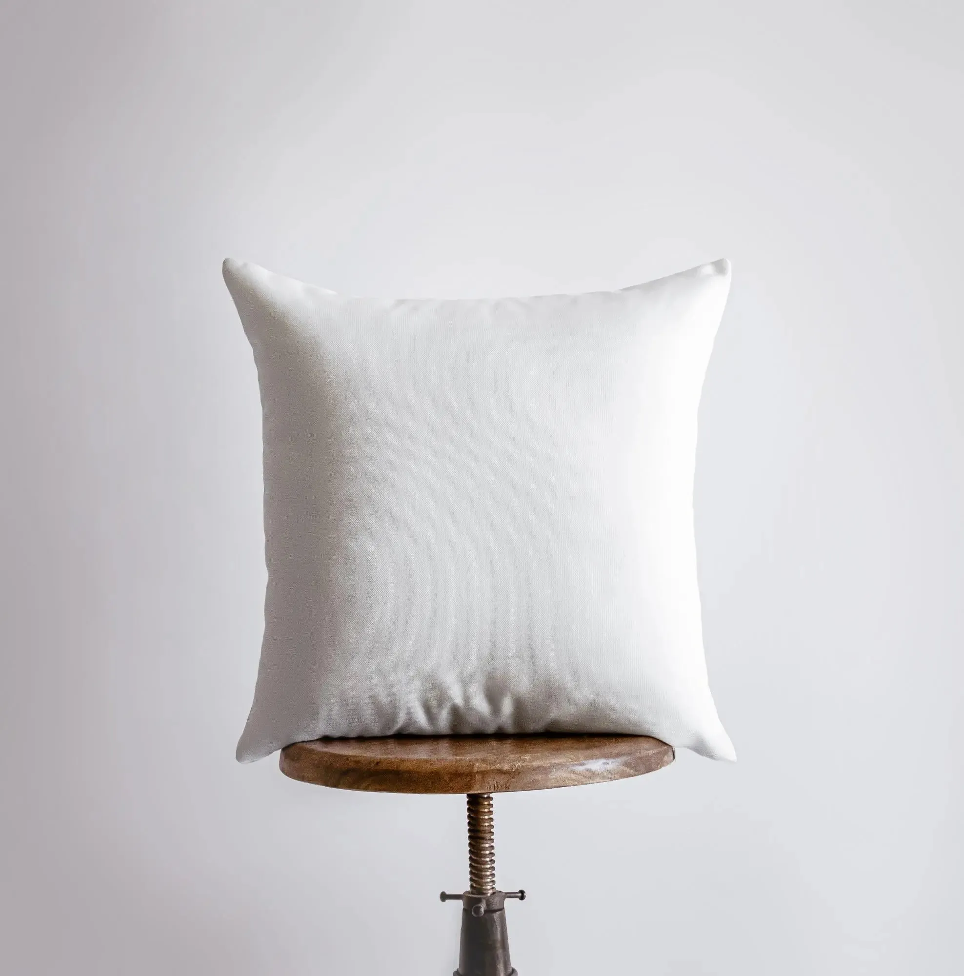 Spotted Horse Pillow | Throw Pillow | Horse Lover | Animal Lover Gift | Tiny House Decor | Cowgirl Pillow