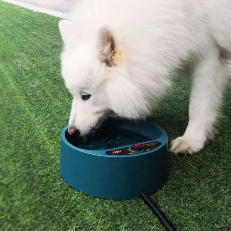 Warm & Hydrated: 2.2L Heated Outdoor Dog Thermal-Bowl!