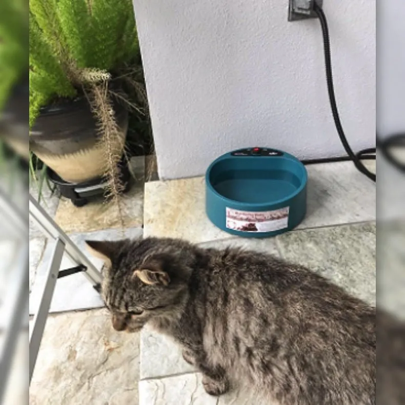 Warm & Hydrated: 2.2L Heated Outdoor Dog Thermal-Bowl!